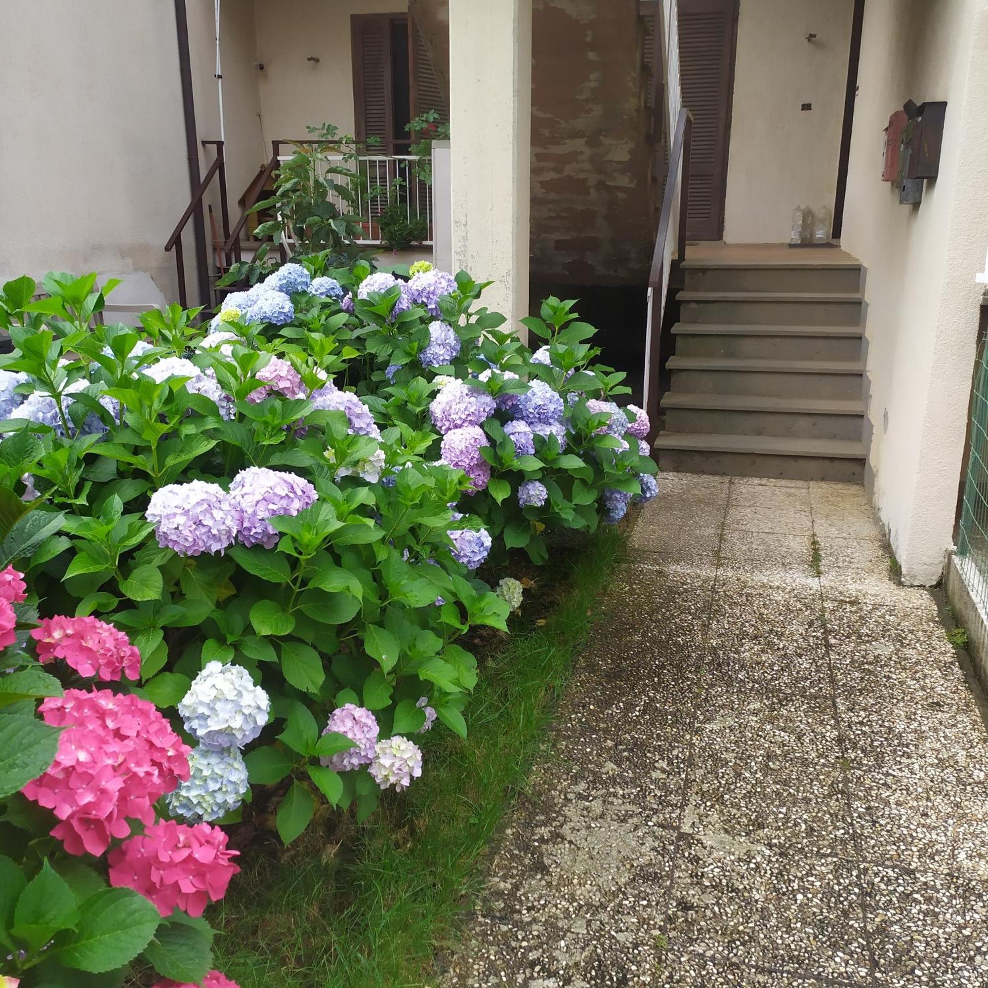 Apartment Santa Maria Bolsena Extérieur photo